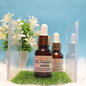 ZINC, B3 & C Serum